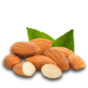 Almond