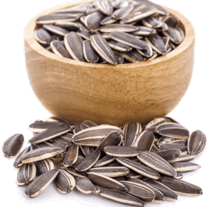 Sunflower-seeds