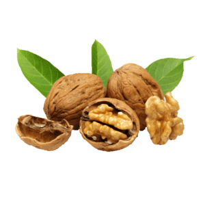 Walnut