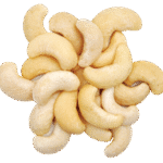 White Cashew