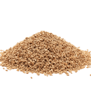 ajwain